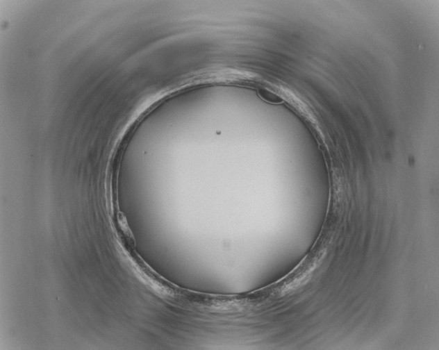 X0000078260843200611251326