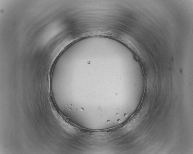 X0000078260844200611251326