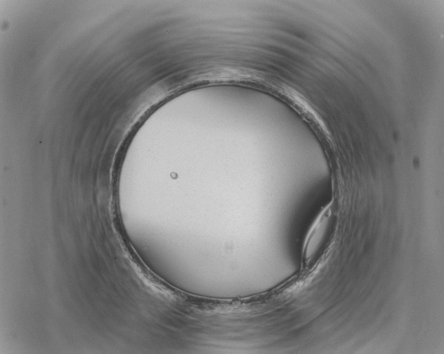 X0000078260845200611251326