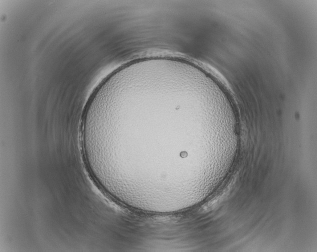 X0000078260847200611251327