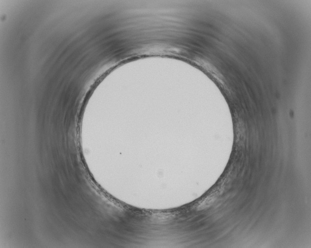 X0000078260848200611251327