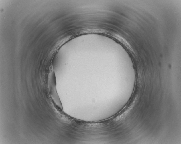 X0000078260849200611251327