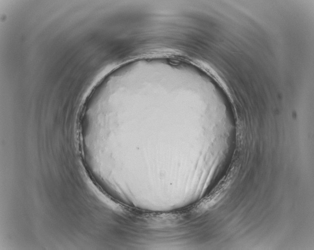 X0000078260851200611251327