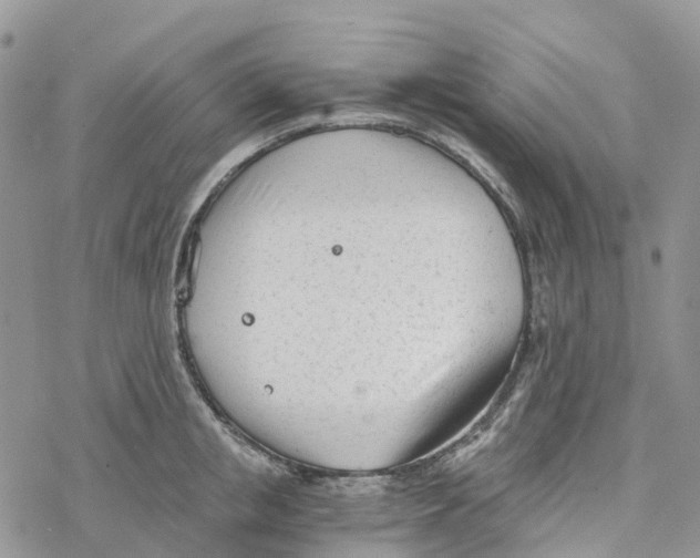 X0000078260853200611251327