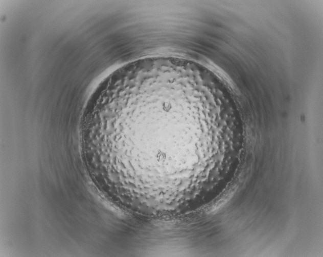 X0000078260854200611251327