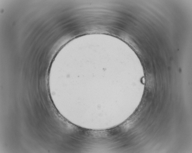 X0000078260856200611251327