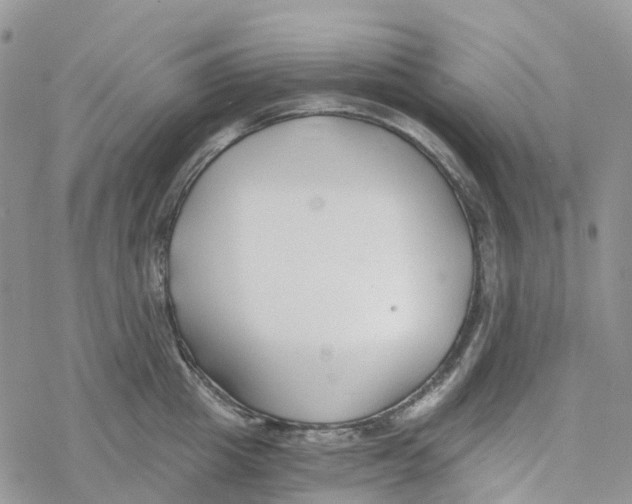 X0000078260857200611251327