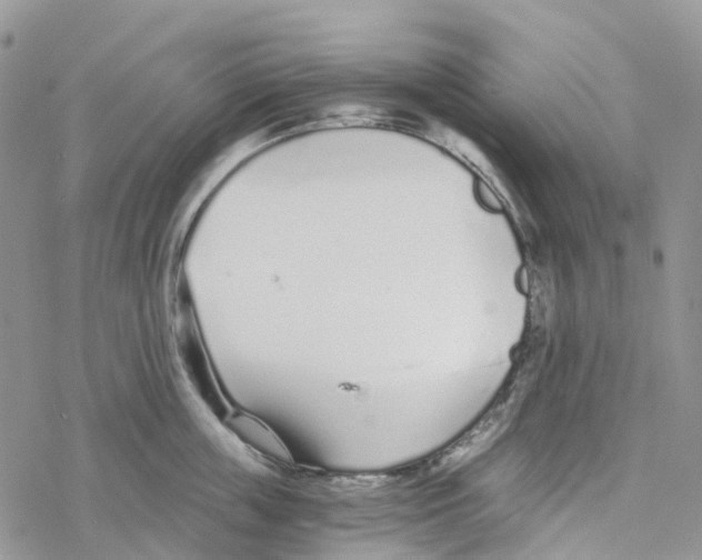 X0000078260859200611251327