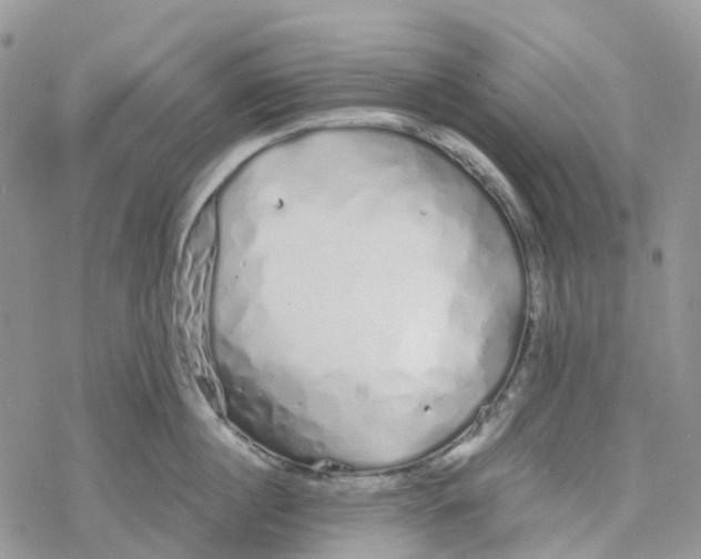 X0000078260860200611251327