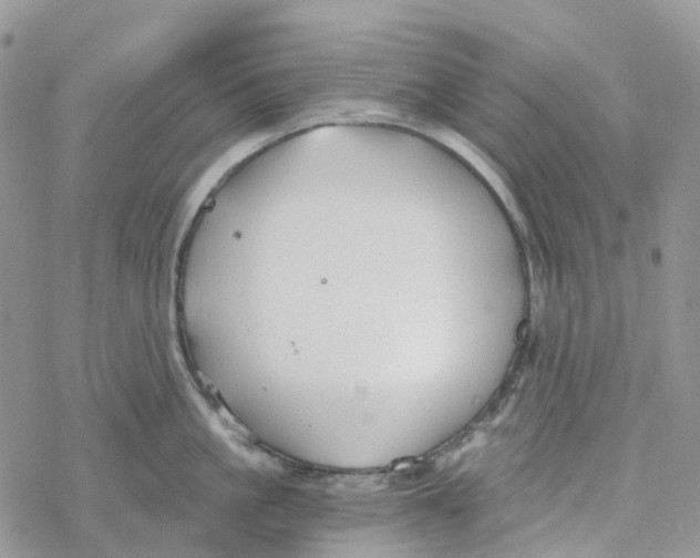 X0000078260861200611251327