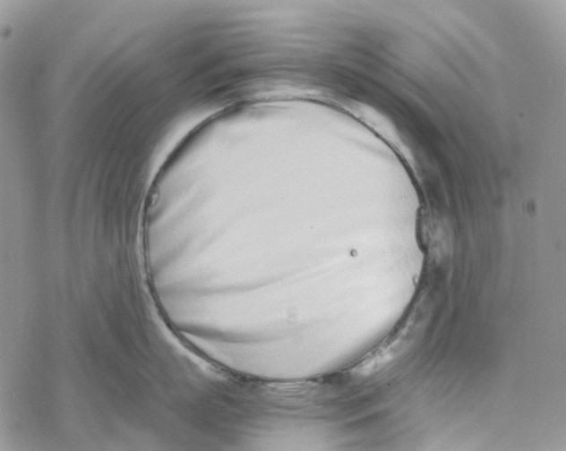 X0000078260863200611251327