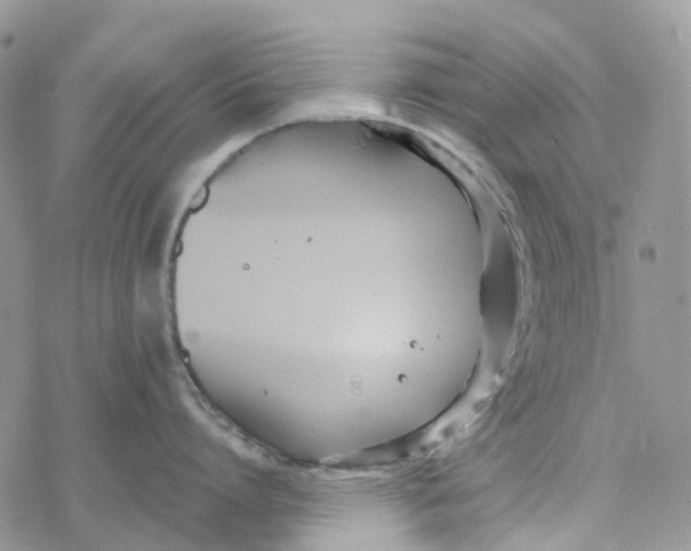 X0000078260864200611251327