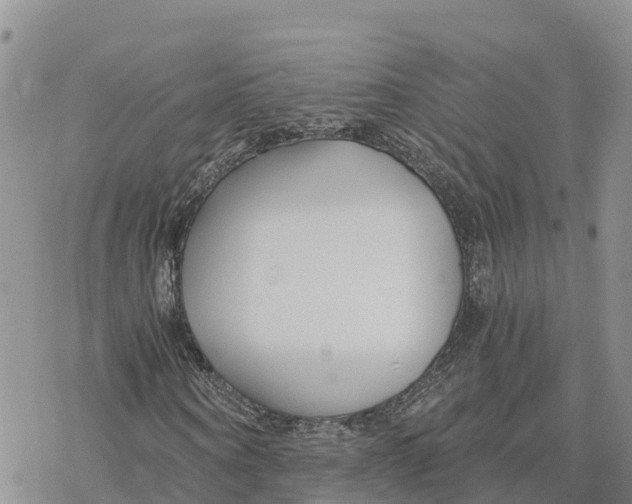 X0000078260866200611251326