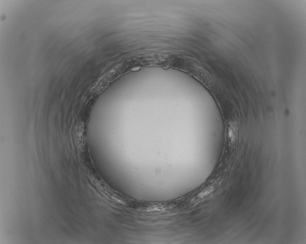 X0000078260867200611251326