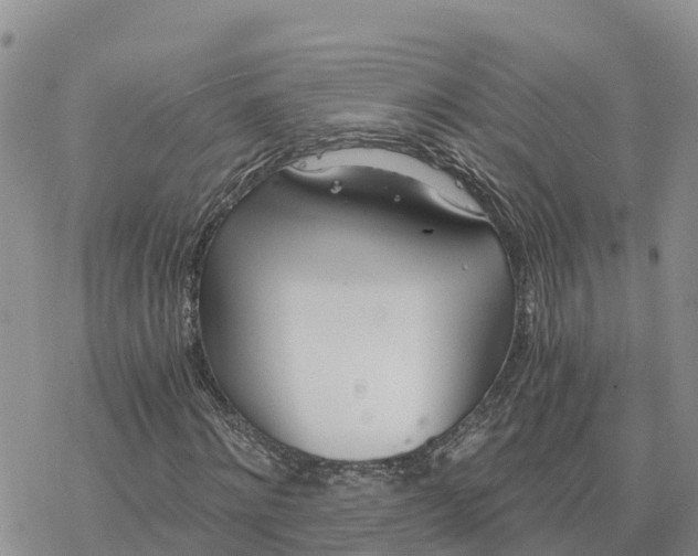 X0000078260868200611251326