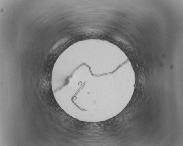 X0000078260869200611251326