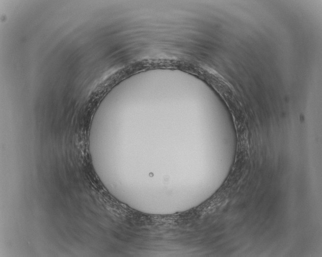 X0000078260870200611251326