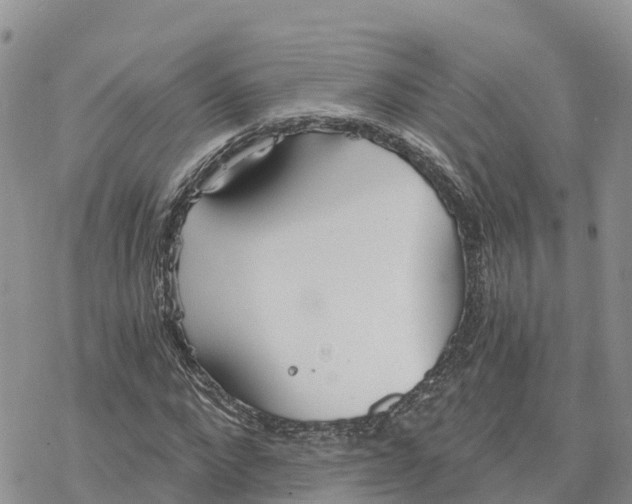 X0000078260872200611251326