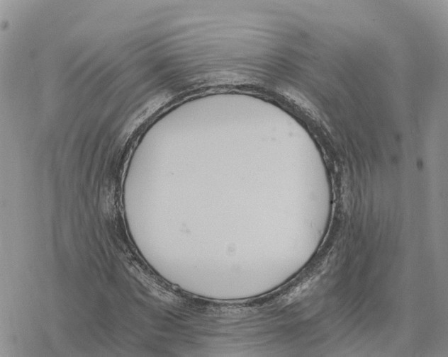 X0000078260873200611251326