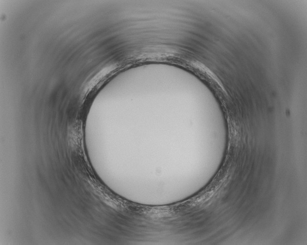 X0000078260874200611251326