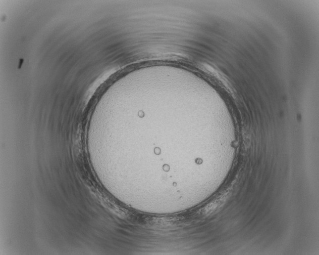 X0000078260875200611251326