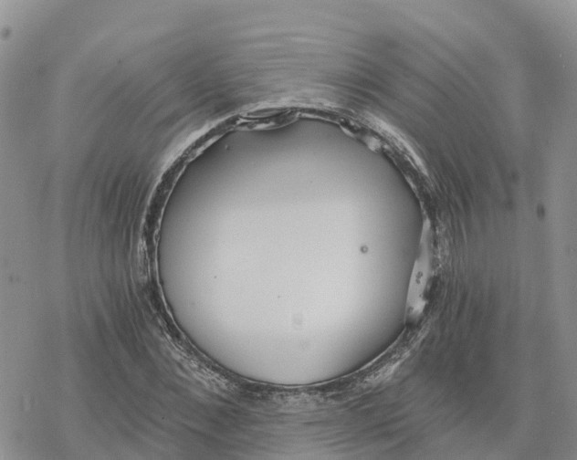 X0000078260876200611251326