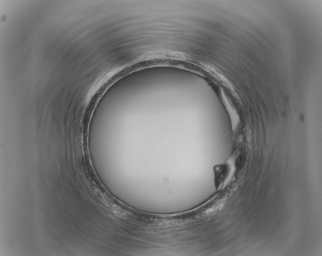 X0000078260877200611251326