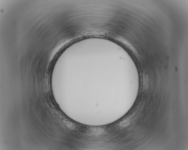 X0000078260878200611251326