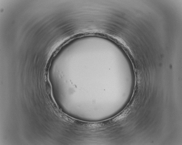 X0000078260879200611251326