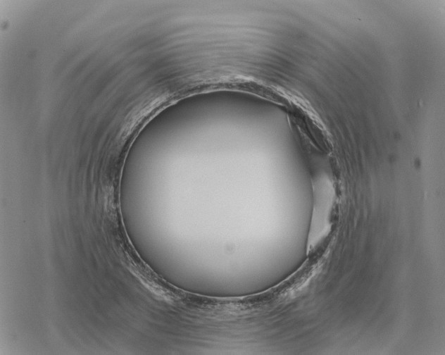 X0000078260881200611251326