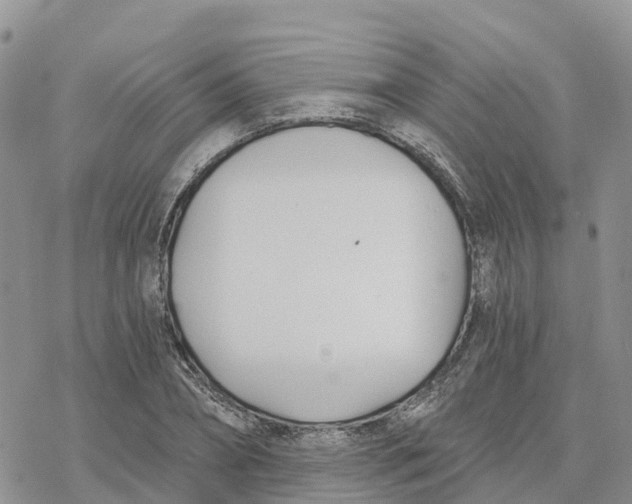 X0000078260882200611251326