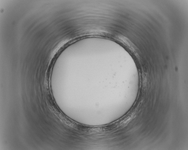 X0000078260883200611251326