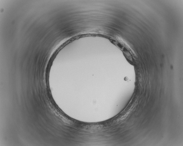 X0000078260884200611251326