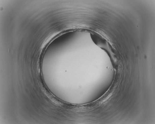 X0000078260885200611251326