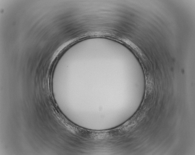 X0000078260886200611251326