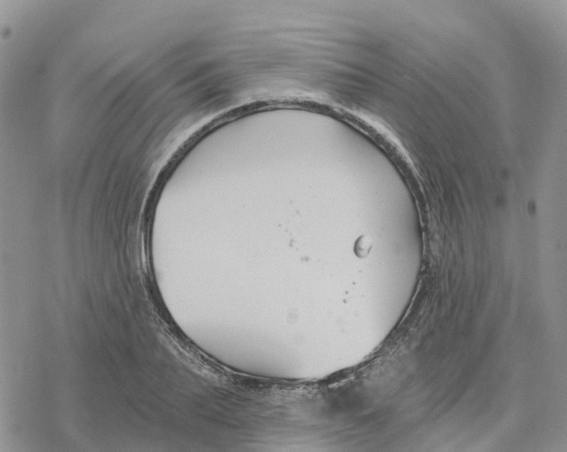 X0000078260887200611251326