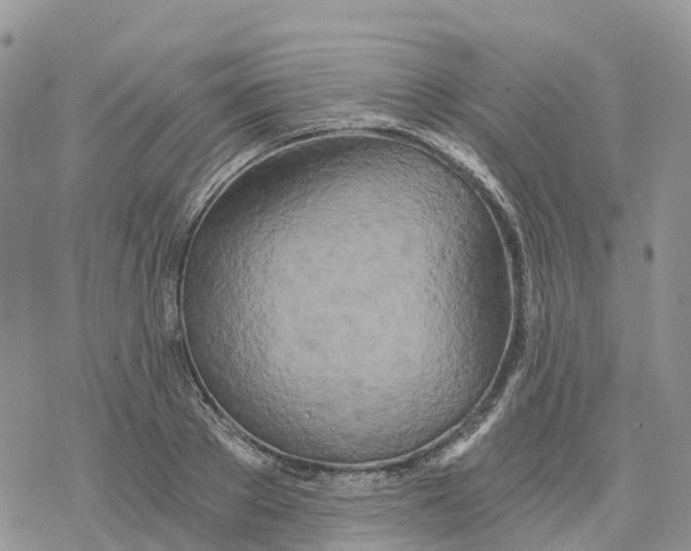 X0000078260889200611251326