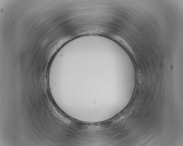 X0000078260890200611251326