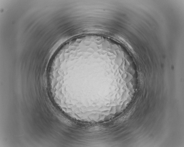 X0000078260891200611251326