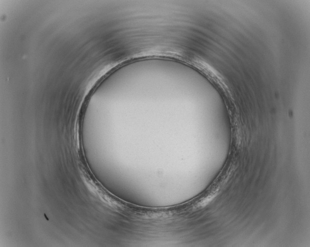 X0000078260892200611251326