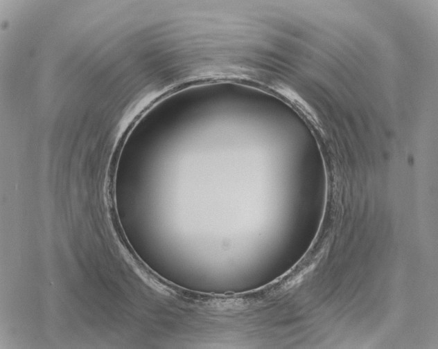 X0000078260893200611251326