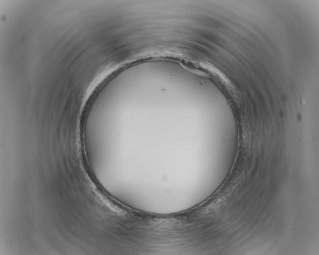 X0000078260894200611251326