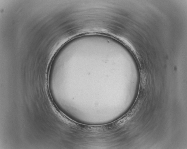 X0000078260895200611251326