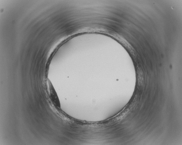 X0000078260896200611251326