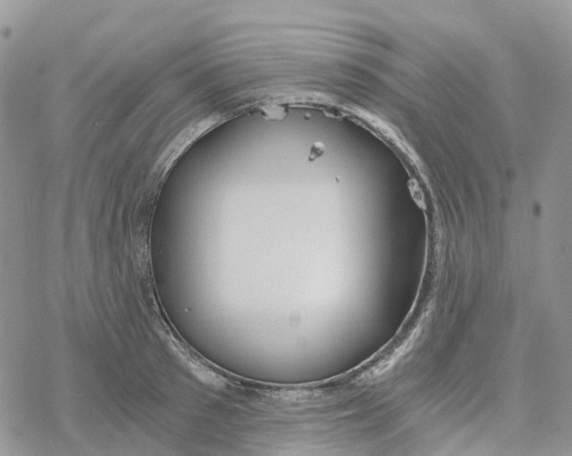 X0000078260897200611251325