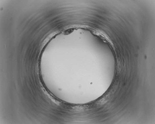 X0000078260898200611251325