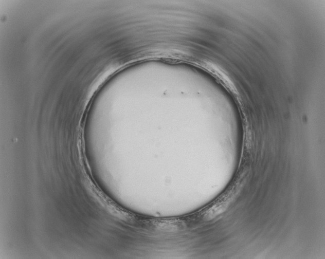 X0000078260899200611251325