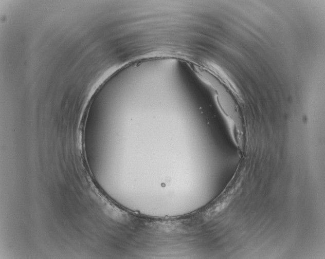 X0000078260900200611251325