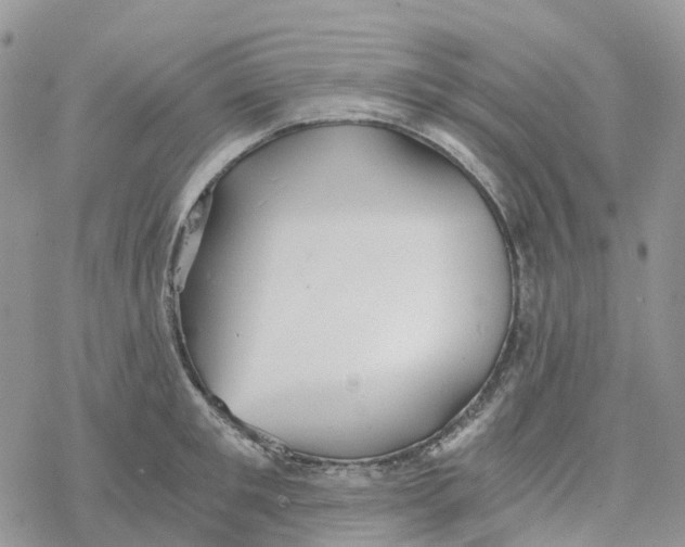 X0000078260901200611251325