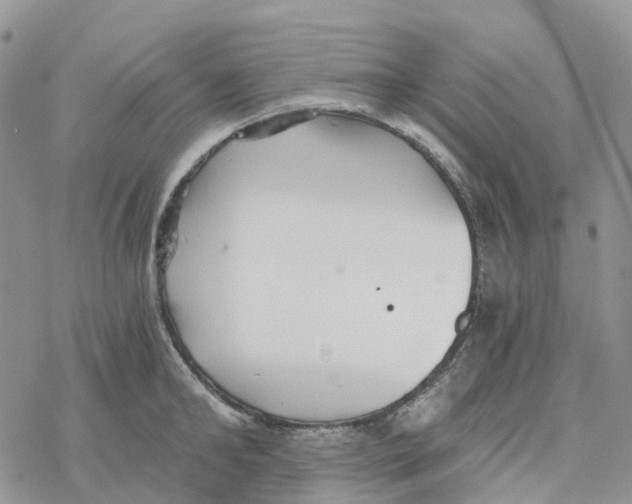 X0000078260902200611251325